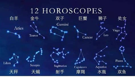 11/11星座